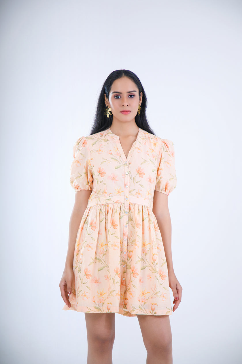 APRICOT MINI