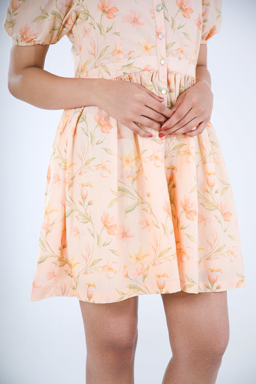 APRICOT MINI