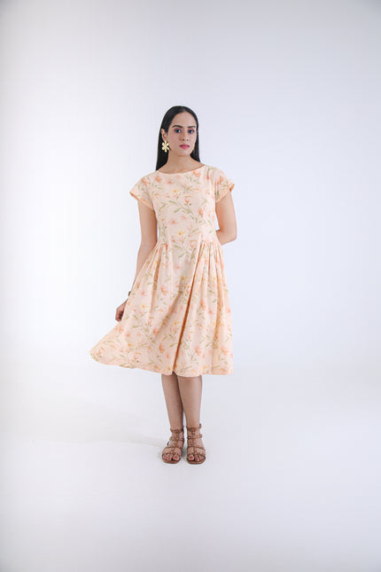 APRICOT MUSE