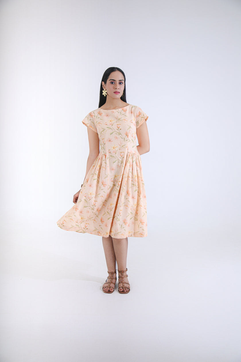 APRICOT MUSE