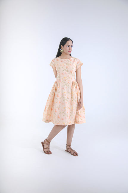APRICOT MUSE