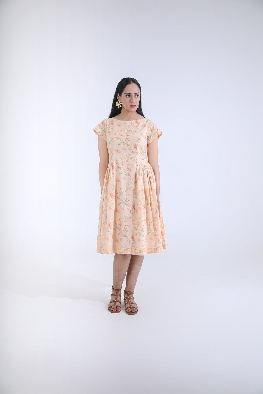 APRICOT MUSE