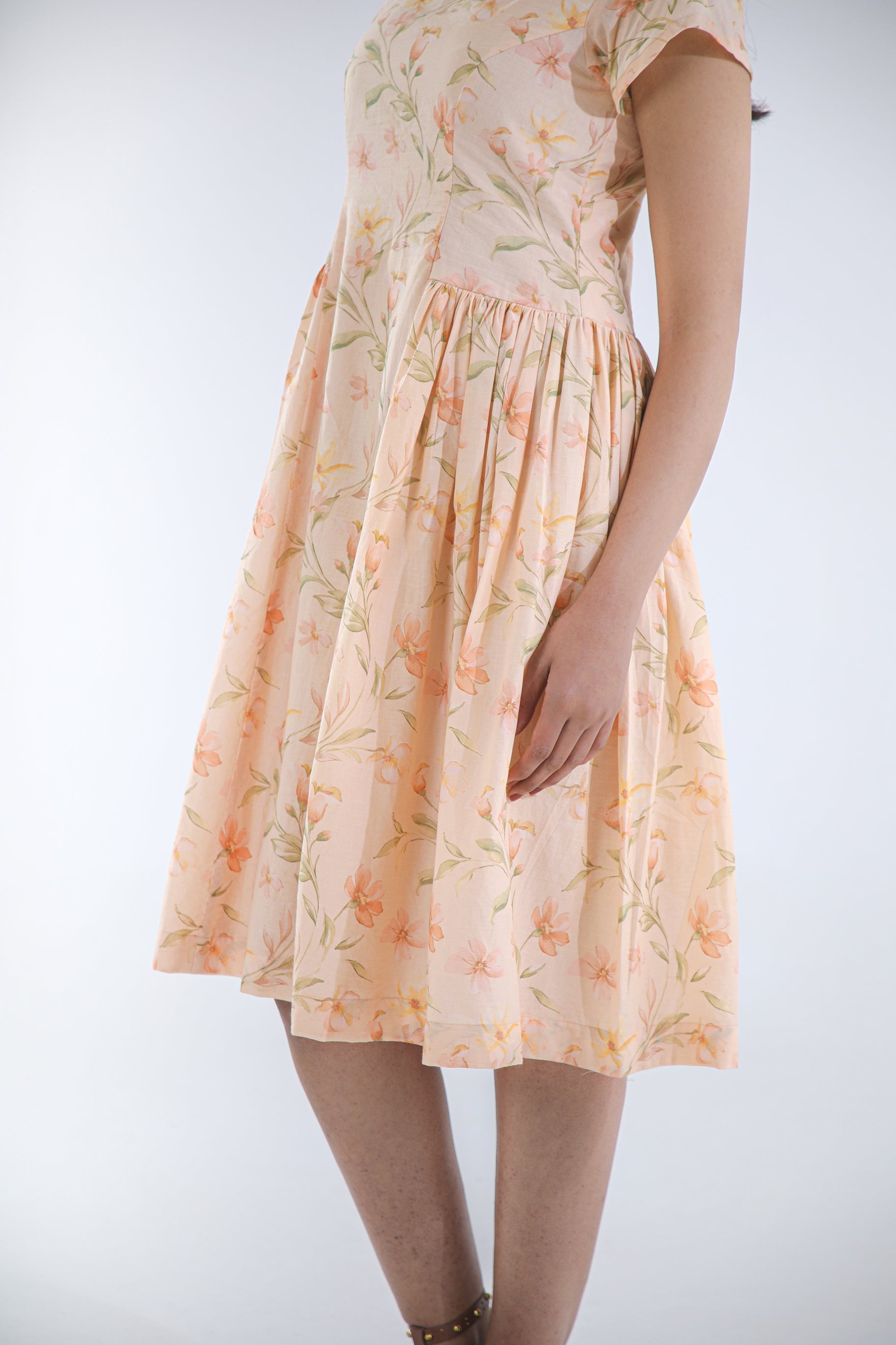 APRICOT MUSE