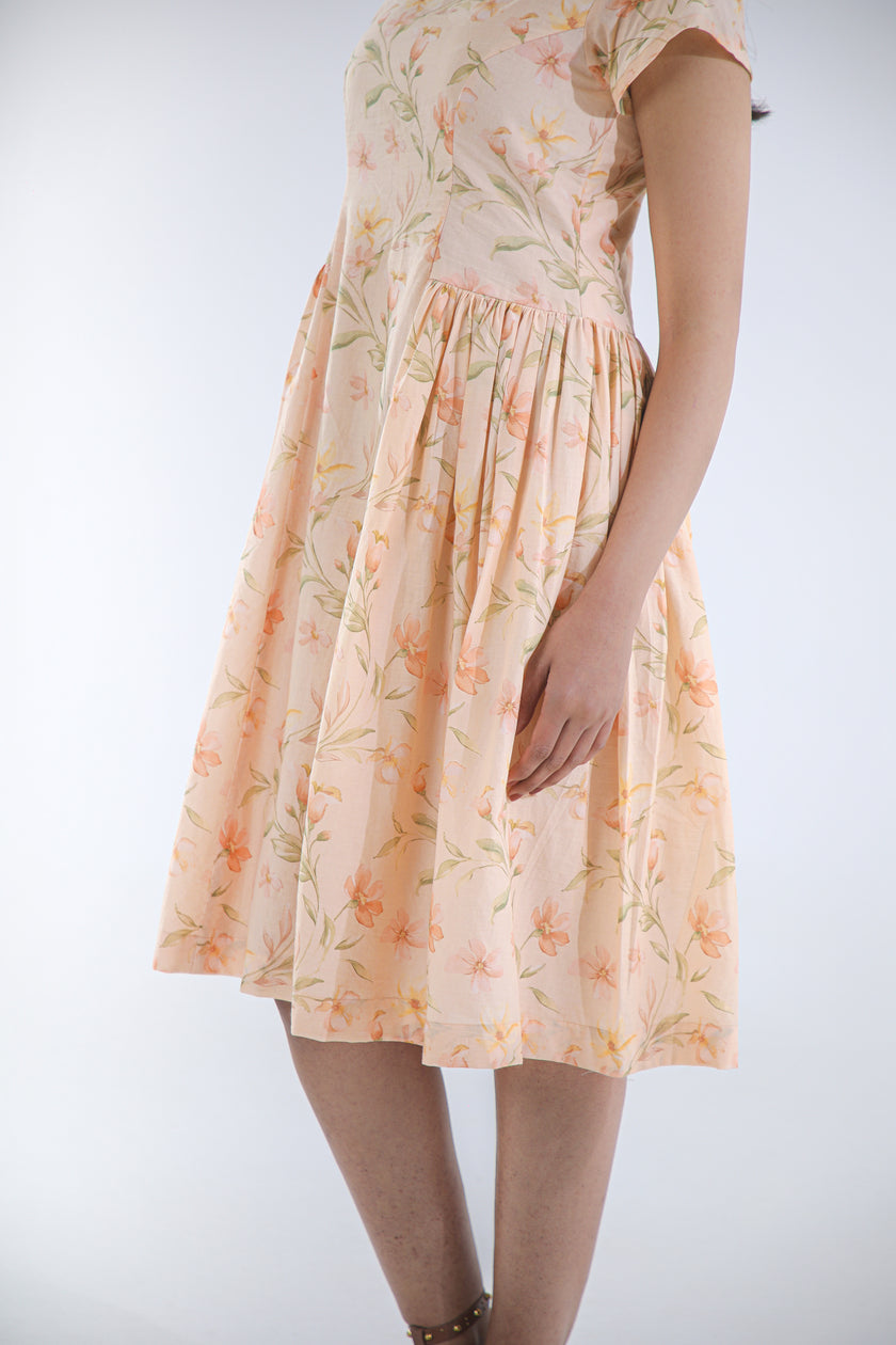 APRICOT MUSE