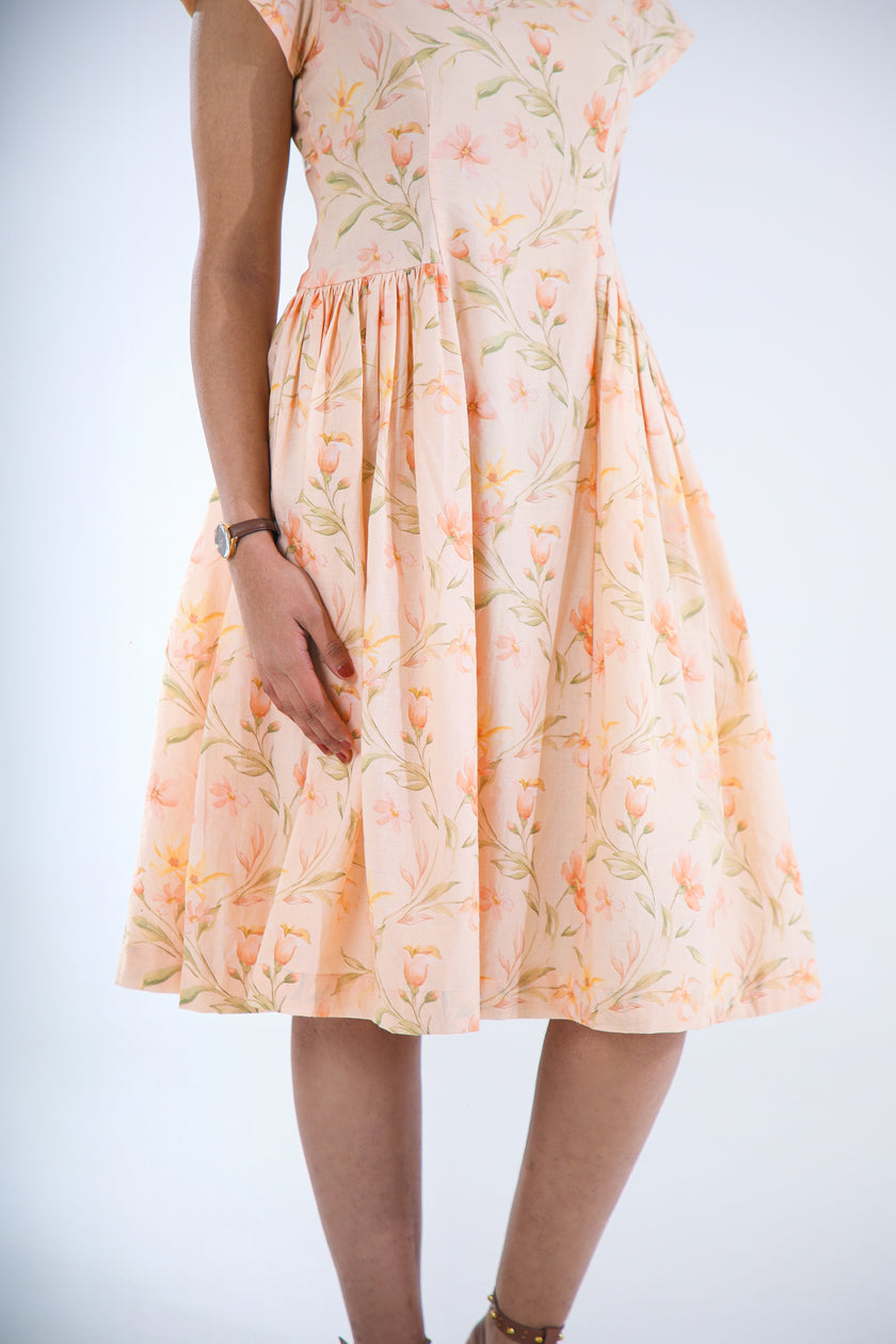 APRICOT MUSE