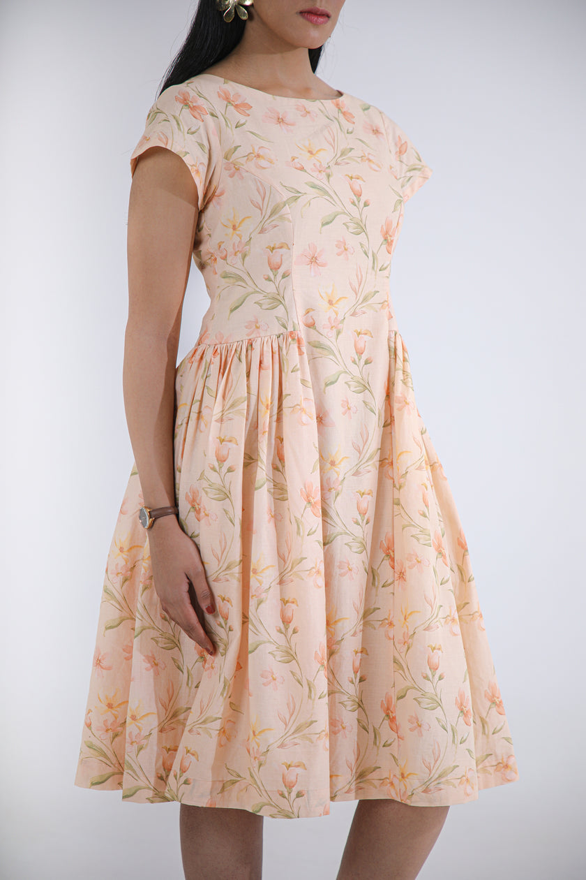 APRICOT MUSE