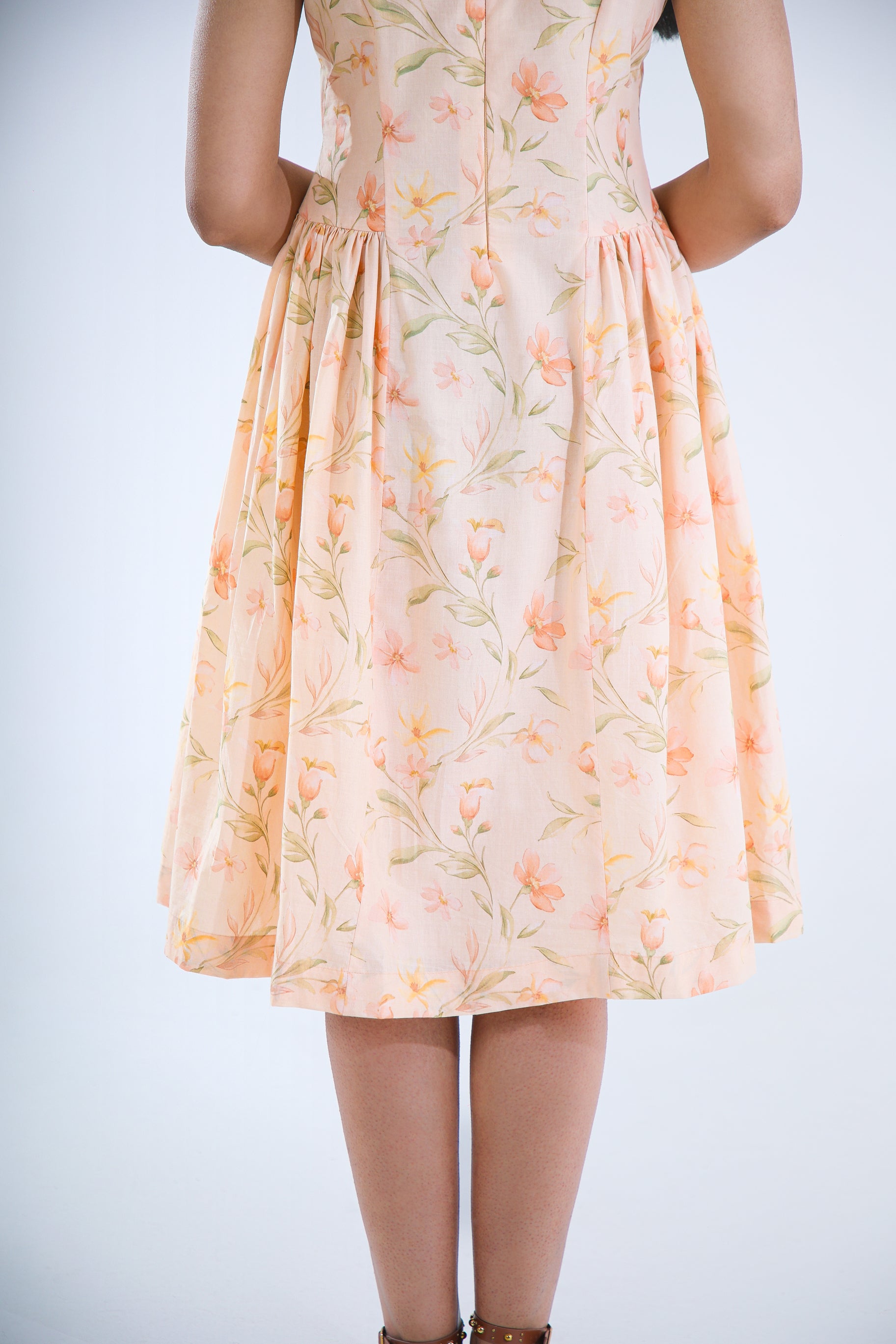 APRICOT MUSE