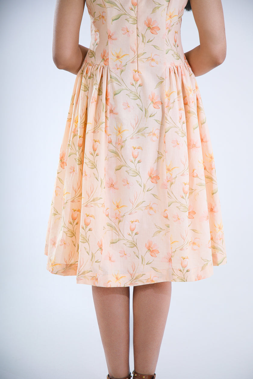 APRICOT MUSE